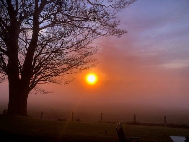 The sun setting through the mist